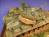 M48 Patton A5 MOLF: Image